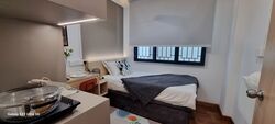 Regent Grove (D23), Condominium #557235601